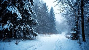 ПУШКИН.Бесы.