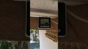 Ultrasonic water level sensor FT002