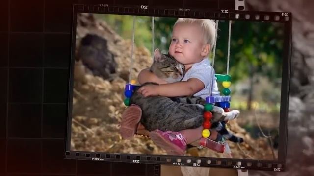 Кошки и дети . Cats and children . смотреть онлайн