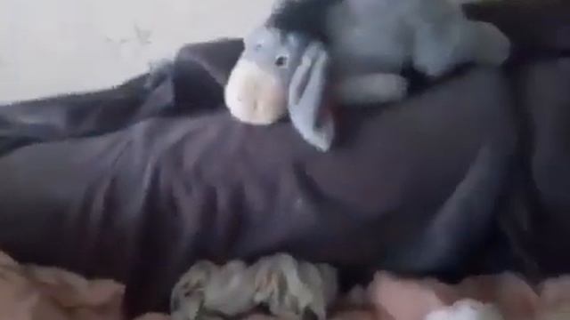 винни его друзья 1 - 5 выпуска смотреть онлайн