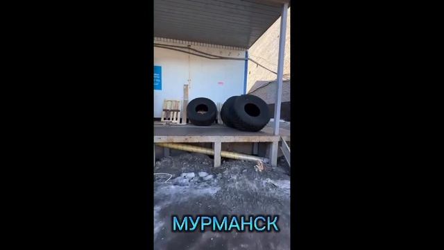 #marshland #город #мурманск #шинынизкогодавления #shorts #automobile #болотоход смотреть онлайн