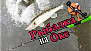 Ловля судака на Оке. Только опустил приманку и сразу удар, рыбалка 2025.