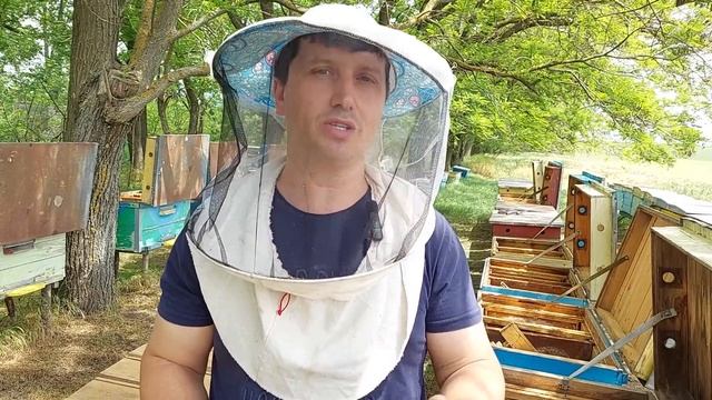 100%прийому матки у відводок,як це зробити.Заселяємо збірні відводки смотреть онлайн