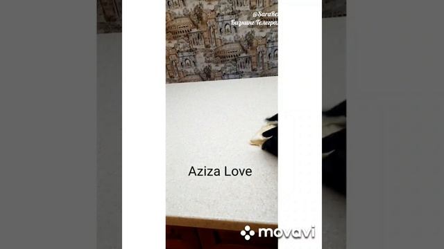 📹"Восточные сладости Пружинистые Баурсаки" Ogizda Eriydigon Burama Bo'girsoqlar😍👍 смотреть онлайн