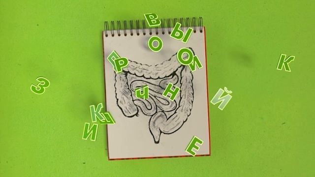 2 минуты о программе Здоровый кишечник./Ссылка на сообщество VK.com/club225279244/