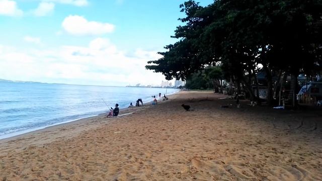 The Mangrove Hotel โรงแรมเดอะแมนโกรฟ สัตหีบ หาดจอมเทียน ห้องพักดีสะอาดคุ้มเกินราคา