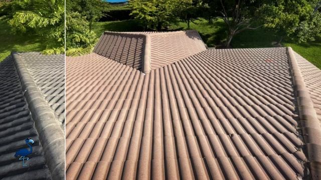 Roof Cleaning and Benefits of Soft Washing, by Blue Flamingo SoftWash - Miami, FL смотреть онлайн