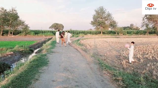 pee funny video | peeing in public | not try to laugh | Dipi Tv смотреть онлайн