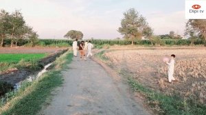 pee funny video | peeing in public | not try to laugh | Dipi Tv