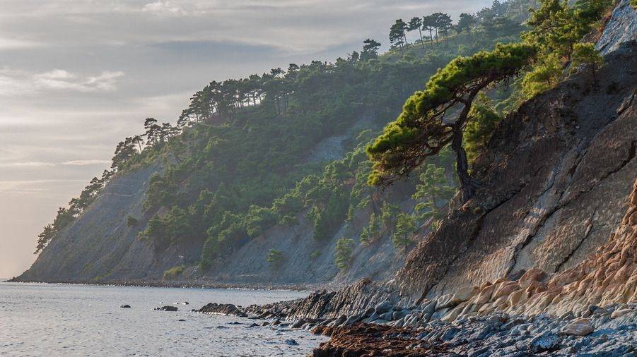 Прасковеевка. Январь 2025. смотреть онлайн