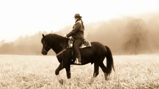 Born To Ride *Lucky Luke/Terence Hill Opening Theme* смотреть онлайн