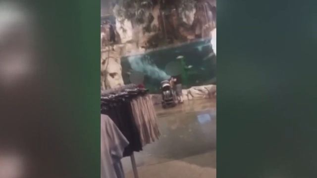 Wanted Fort Myers Bass Pro tank diver talks to NBC2 while on the run смотреть онлайн