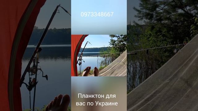 технопланктон для вас опт розница посылаем по Украине 0973348667 смотреть онлайн
