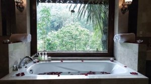 ayung resort, ubud, bali