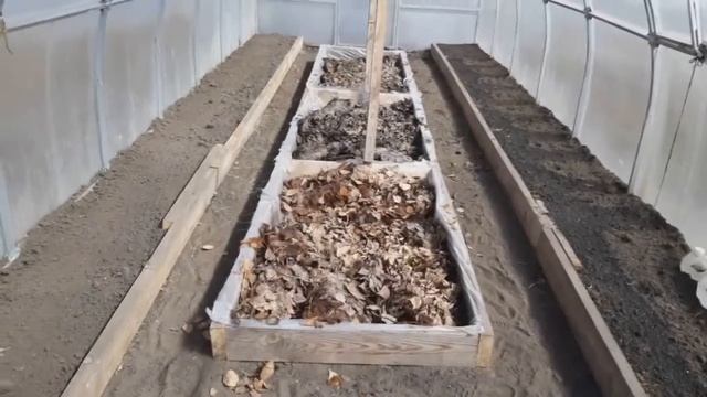 Разведение дендробены на даче в теплице. 1часть. смотреть онлайн