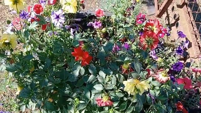 Одинокая грусть❤️💘💝💖💗💓💞💕💌♥️❣️💔❤️🔥💗💖💘