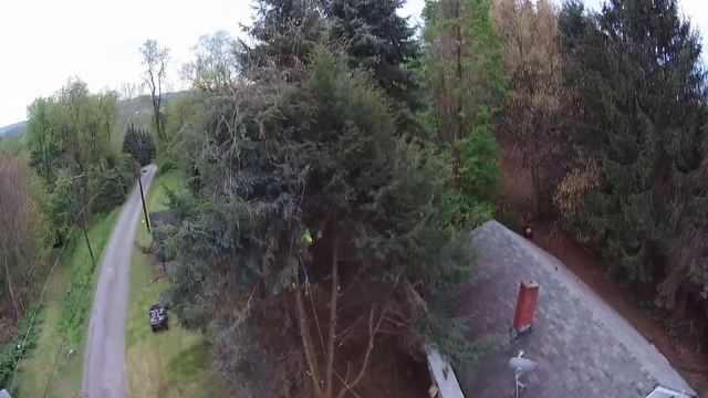 Drone view Cutting trees part 2 смотреть онлайн