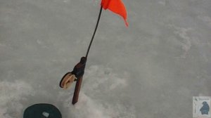 Жор,отлично щуки половили