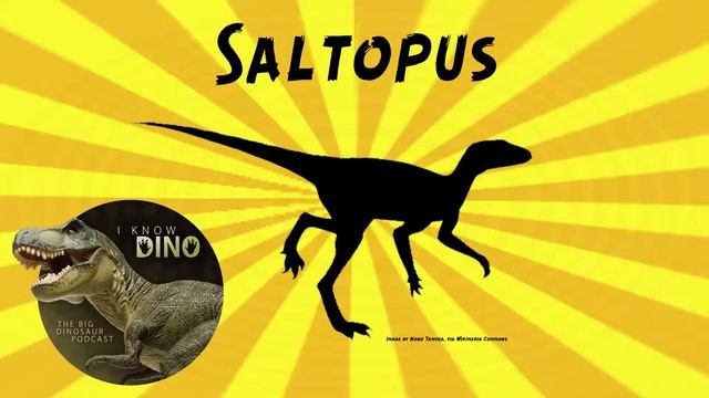 Saltopus: Dinosaur of the Day смотреть онлайн