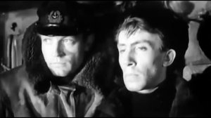 Чудовищный взрыв уничтожил порт и населённые пункты