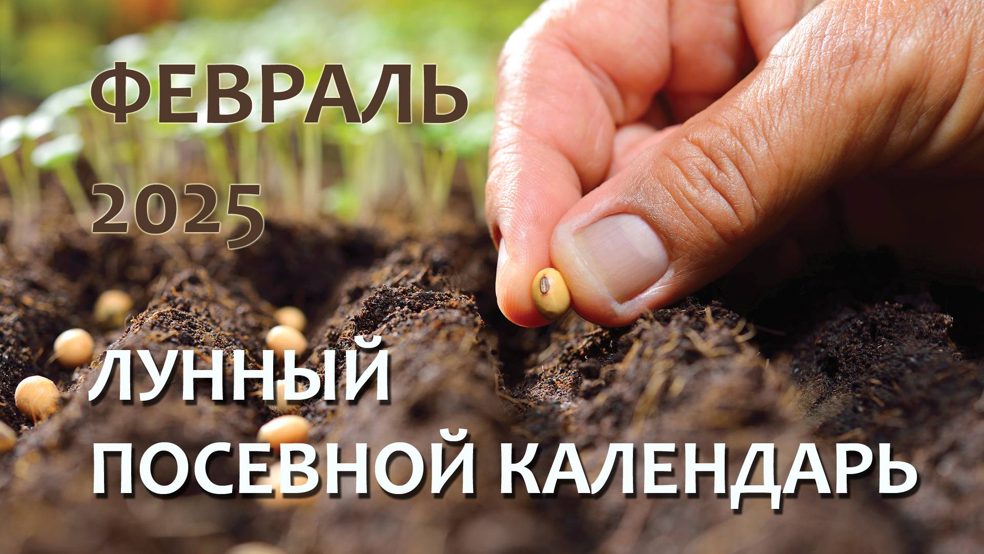 Лунный Посевной Календарь на Февраль 2025 смотреть онлайн