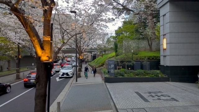 4K60【泉ガーデンとアークヒルズ 桜満開】ツアー 2024 東京 Japan смотреть онлайн