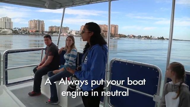 On The Water Vlog - Episode #4 - Dolphin ID Part 2 смотреть онлайн