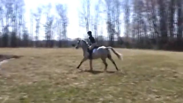 Kristin & Radar - water hazard part 2 смотреть онлайн