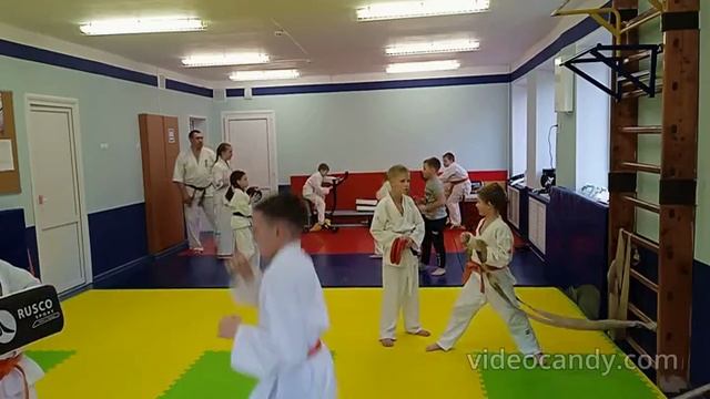 г Курск, МБУДО ДДТ, открытое занятие, Петух СВ смотреть онлайн