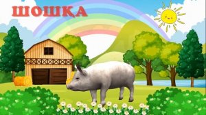 ҮЙ ЖАНУАРЛАРЫ МЕН ҮЙ ҚҰСТАРЫ