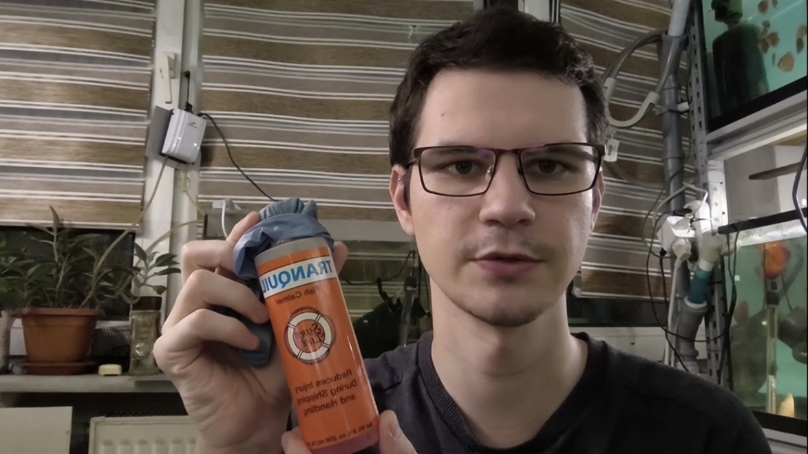 Как принимать нашу рыбу из Транквила смотреть онлайн