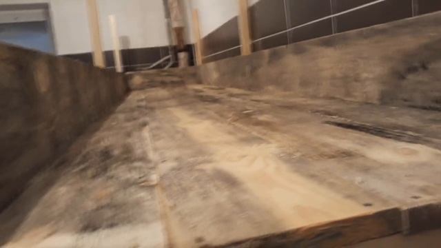 Бизнес. Разведение червей на стеллажах в подвале. смотреть онлайн