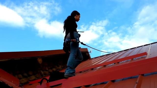 How to Get Rid of Bats on a Metal Roof смотреть онлайн