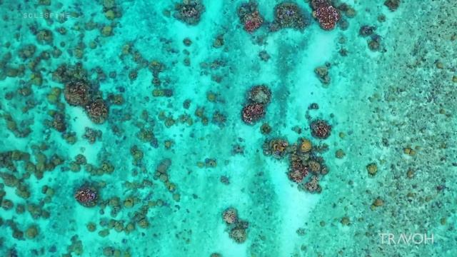 Wake Up In Paradise | Morning, Relax, Inspire Motivate, Bora Bora, French Polynesia 🇵🇫 | 4K Travel смотреть онлайн