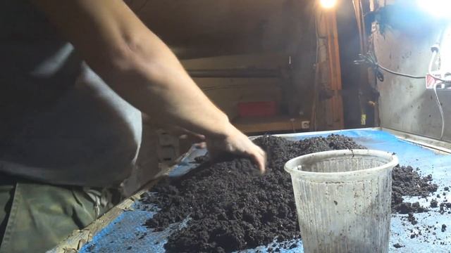 Откорм червя. Реабилитация. смотреть онлайн