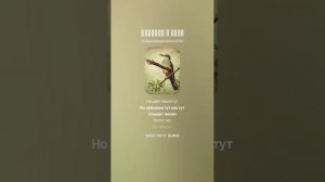 Кукушка и заяц