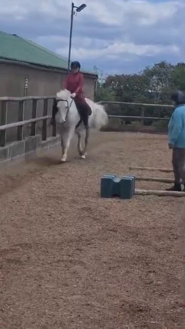 I lost my stirrup xxx смотреть онлайн