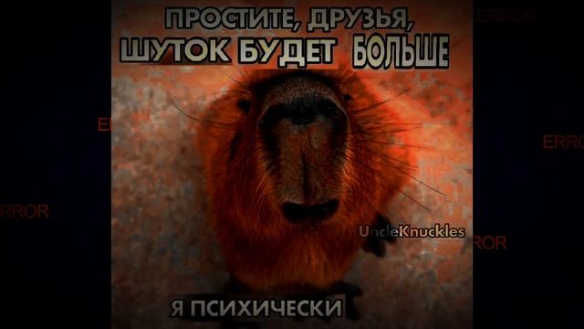 КАПИБАРАА КАПИБАРА КАПИ КАПИ КАПИБАРААААААА смотреть онлайн
