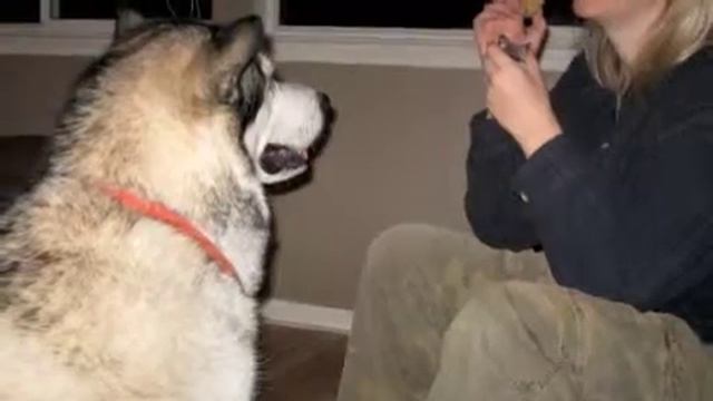 Sherri's Visit - Thanksgiving 2009.m4v смотреть онлайн