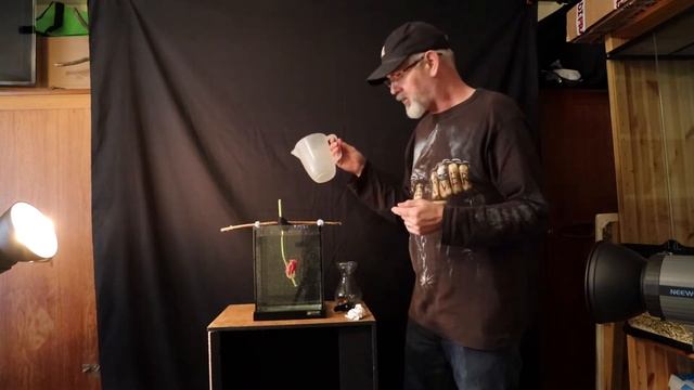Getting creative with a small water tank and a flower смотреть онлайн