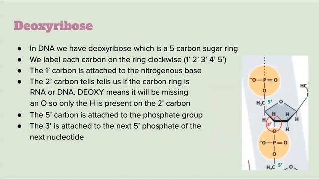 Exam Mini video 4 смотреть онлайн