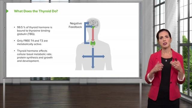 11 Thyroid Emergencies смотреть онлайн