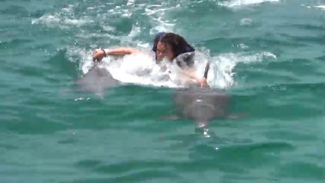 Дельфины и Доминикана 2012 смотреть онлайн