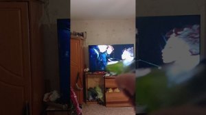 аа-а-а-а-а а-а-а-а-а а-а-а-а-а а-а-а-а-а а-а-а-а-а а-а-а-а-а а-а-а-а-а а-а-а-а-а а-а-а-а-а а-а-а-а-а