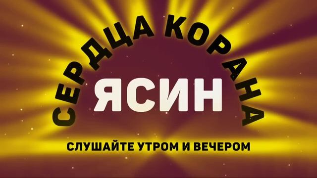 Сура Ясин сердца Корана سورة يس слушайте каждый день утром и вечером! #ramadan #yasin смотреть онлайн