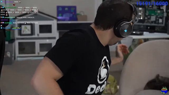 Mizkif´s Kitten just fell from the chair (its not hurt) смотреть онлайн