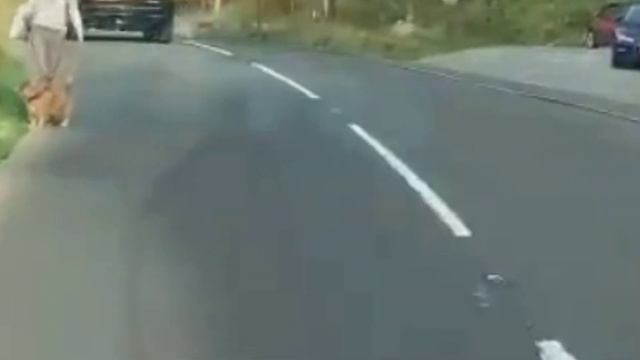 Key Differences Between Covert And Overt Narcissism #CovertNarcissism#OvertNarcissism смотреть онлайн