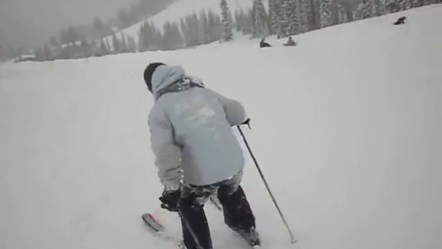 Kashi.AVI смотреть онлайн