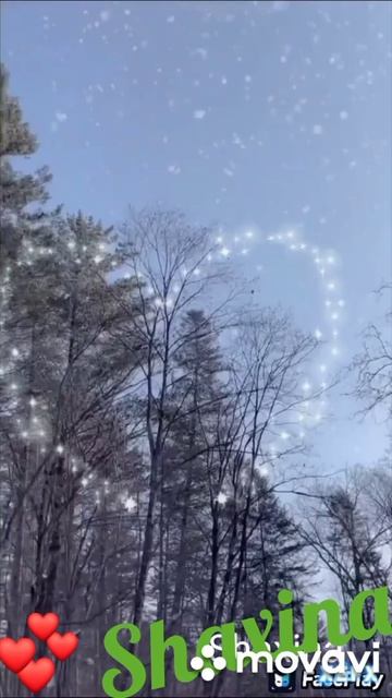 Shaxina смотреть онлайн