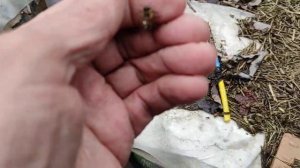 Важность внутриульевой поилки ранней весной!!!